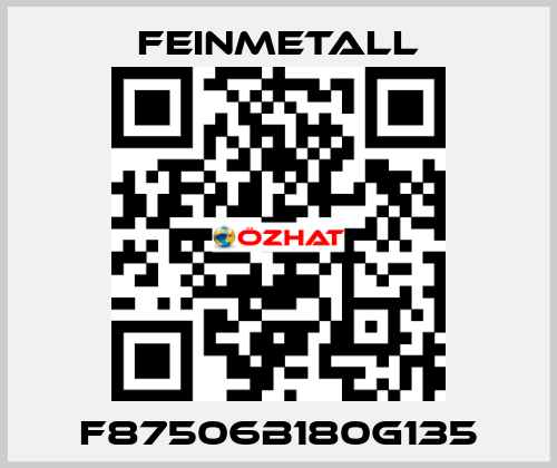 F87506B180G135 FEINMETALL