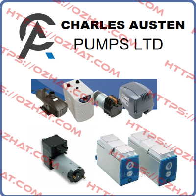 X12-935 Charles Austen Pumps