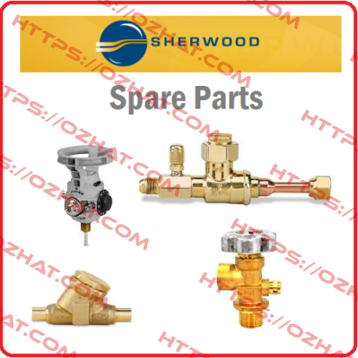 17000 MINOR KIT(25124-SHW) Sherwood