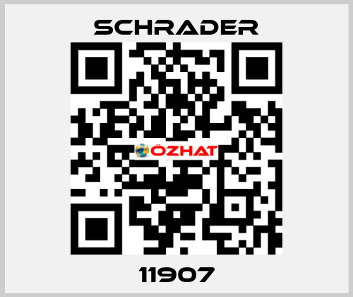 11907 Schrader