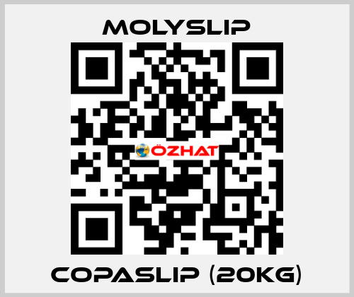 Copaslip (20kg) Molyslip