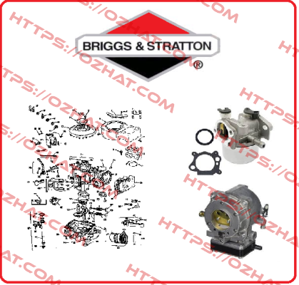 Headset for  1169-A1 Briggs-Stratton