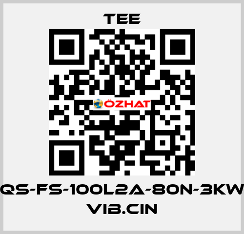 QS-FS-100L2A-80N-3KW VIB.CIN TEE