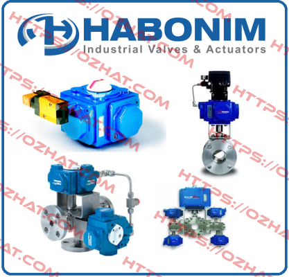 CF8M DN40 Habonim