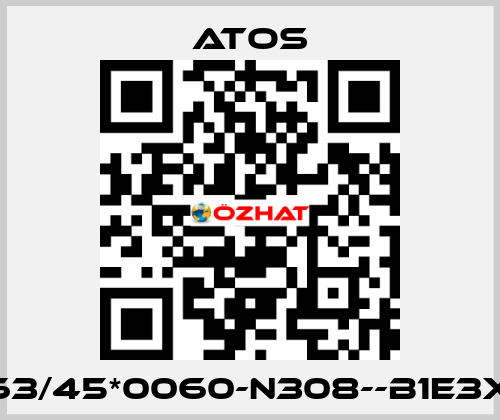 CK-63/45*0060-N308--B1E3X1Z3 Atos