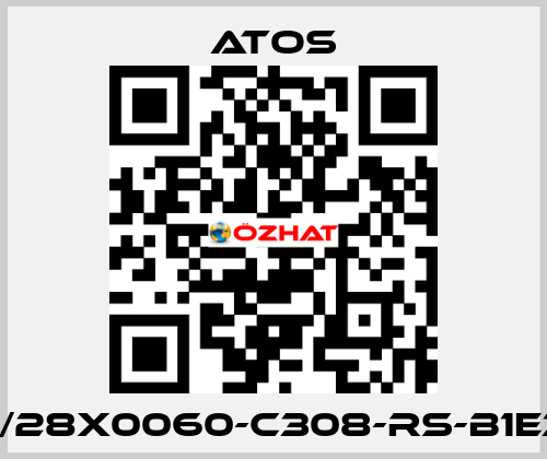 CK-40/28X0060-C308-RS-B1E3X1Z3 Atos