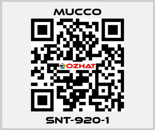 SNT-920-1 mucco