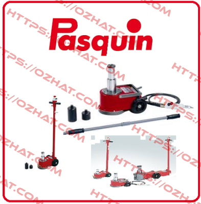 P302EX / P3318 Pasquin