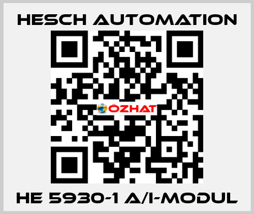 HE 5930-1 A/I-Modul Hesch Automation