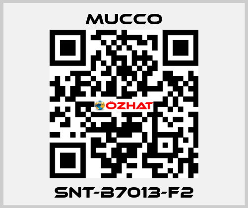 SNT-B7013-F2 mucco