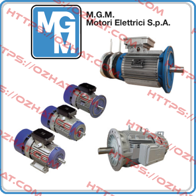 Magnet for BA 112 ac M.G.M MOTORI