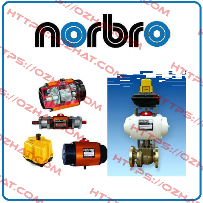 spare part kit for 10 ARS 40 Norbro