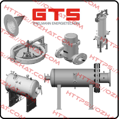 55-05016-1110 GTS-Thielmann Energietechnik