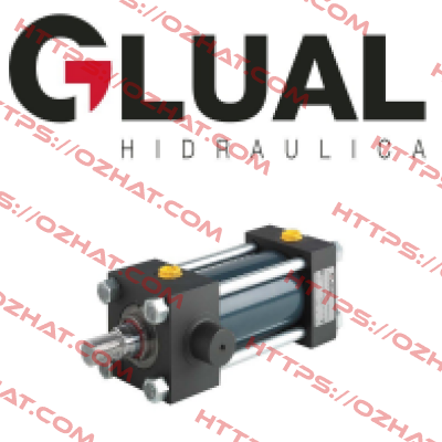 KR 50/28X400-D308-G-1-F-1-10 Glual Hydraulics