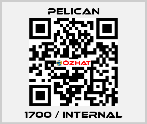 1700 / Internal Pelican