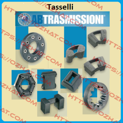 4080010 Tasselli