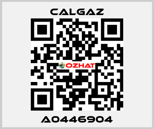 A0446904 Calgaz