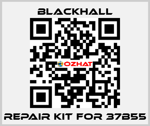 repair kit for 37B55 Blackhall