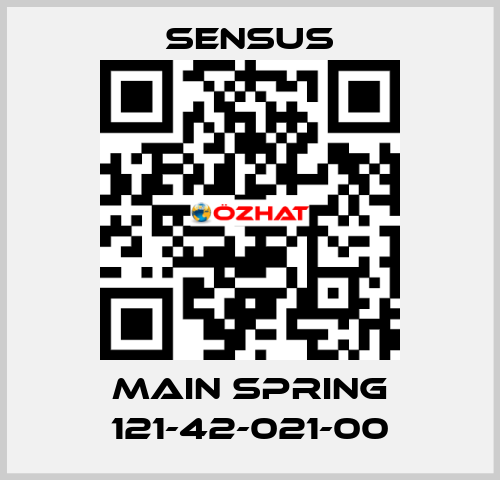 Main spring 121-42-021-00 Sensus