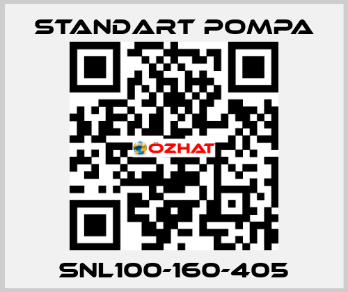 SNL100-160-405 STANDART POMPA