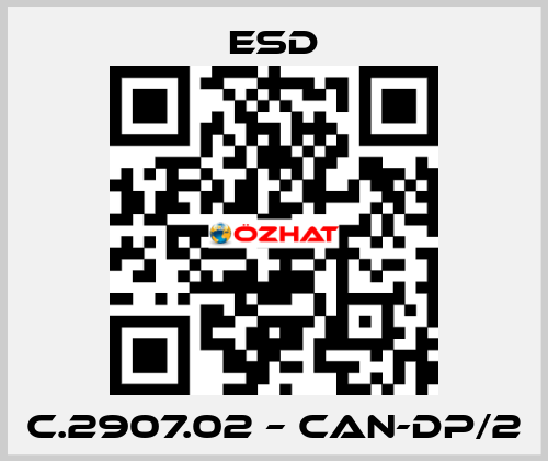 C.2907.02 – CAN-DP/2 ESD