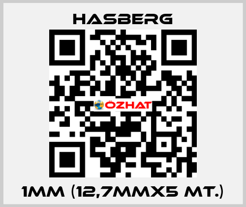 1MM (12,7MMX5 MT.) Hasberg