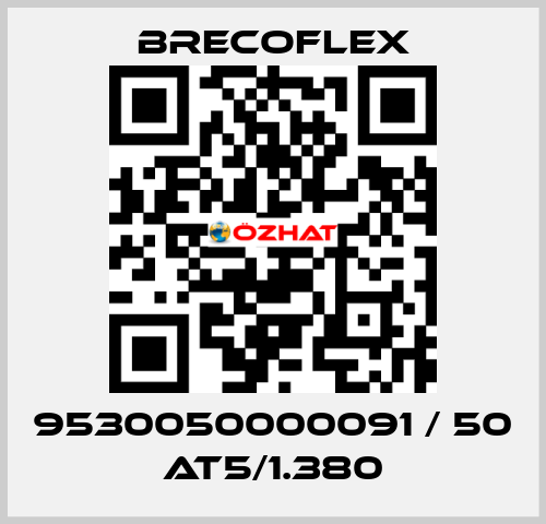 9530050000091 / 50 AT5/1.380 Brecoflex