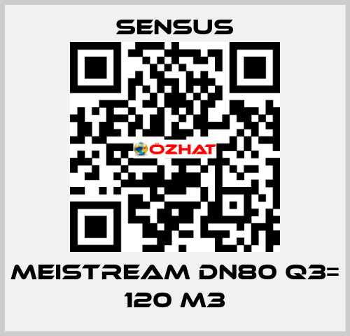 Meistream DN80 Q3= 120 m3 Sensus