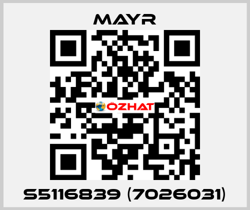 S5116839 (7026031) Mayr