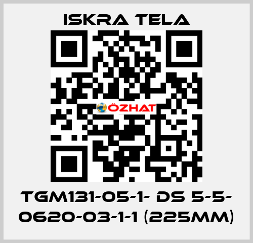 TGM131-05-1- DS 5-5- 0620-03-1-1 (225mm) ISKRA TELA