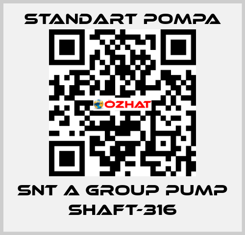 SNT A GROUP PUMP SHAFT-316 STANDART POMPA