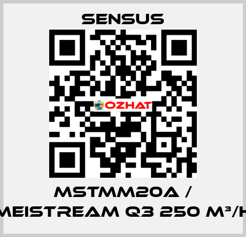 MSTMM20A / MeiStream Q3 250 m³/h Sensus