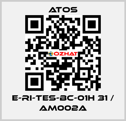 E-RI-TES-BC-01H 31 / AM002A Atos