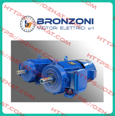 C00.021 Bronzoni