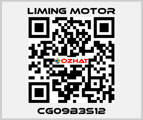 CG09B3S12 Liming Motor