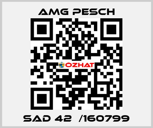 SAD 42  /160799 AMG Pesch