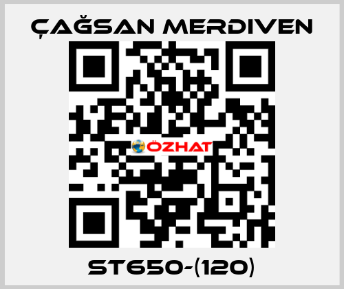 ST650-(120) Çağsan Merdiven