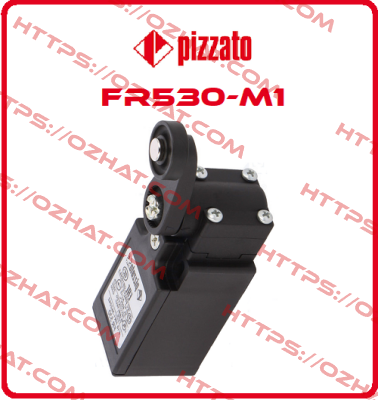 FR530-M1 Pizzato Elettrica