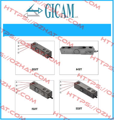 C-TS5-1000K Gicam