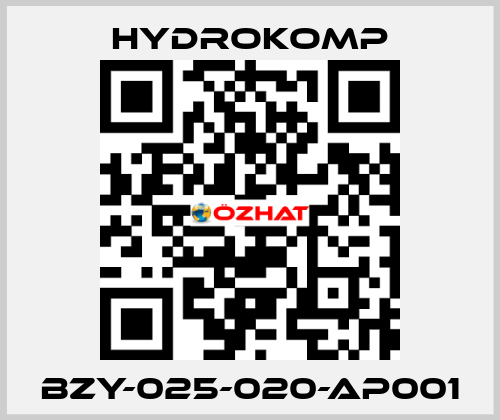 BZY-025-020-AP001 HYDROKOMP