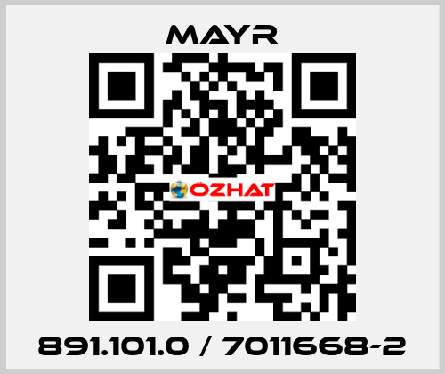 891.101.0 / 7011668-2 Mayr