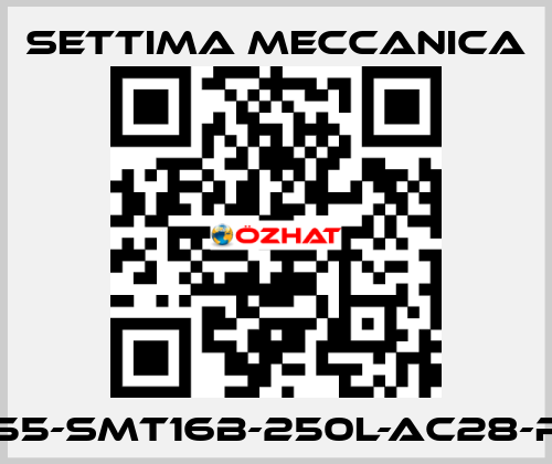 GR55-SMT16B-250L-AC28-RF2 Settima Meccanica