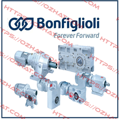 kit (ball bearings and closing caps) for VF49 12.300.506 Bonfiglioli