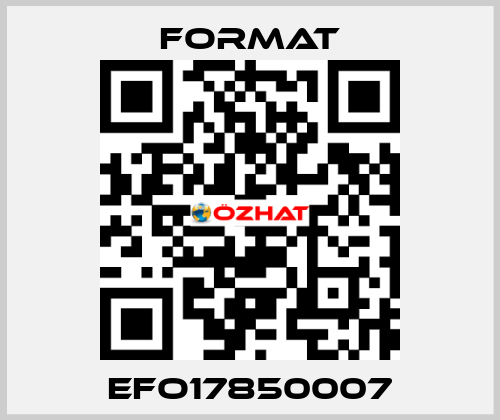 EFO17850007 Format