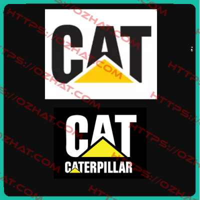 2589-2030-ARTIKELNUMMER EXISTIERT NICHT  Caterpillar