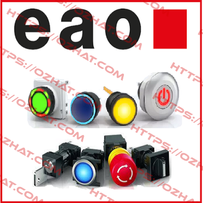 06-061.001 Eao