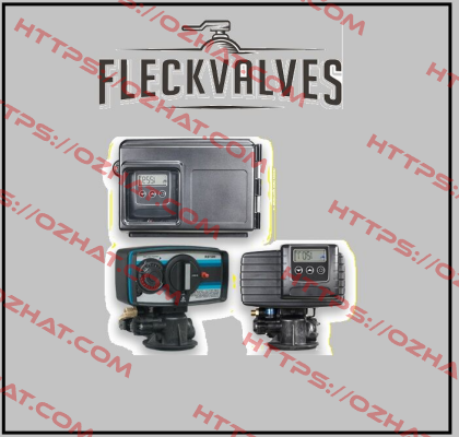 FL15493 Fleck Valves