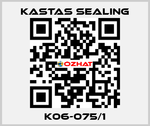 K06-075/1 Kastas Sealing