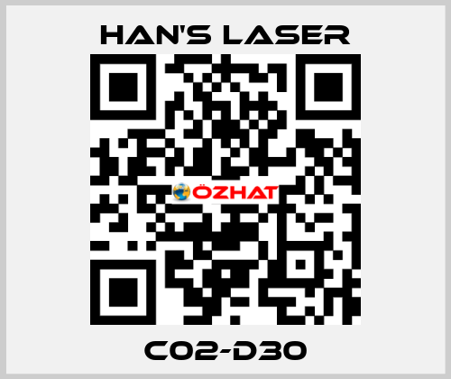 C02-D30 Han's Laser