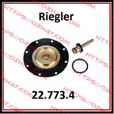 22.773.4 / 100915 Riegler